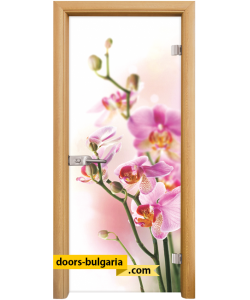 Стъклена интериорна врата, Print G 13-2, каса Светъл дъб