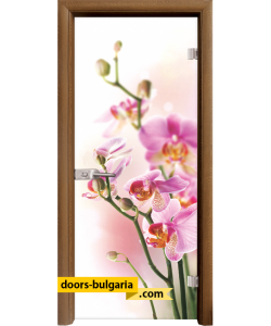 Стъклена интериорна врата, Print G 13-2, каса Златен дъб