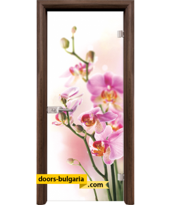 Стъклена интериорна врата, Print G 13-2, каса Тъмен Орех
