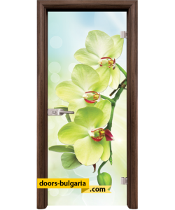 Стъклена интериорна врата, Print G 13-3, каса Тъмен Орех