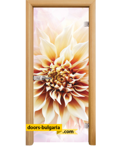 Стъклена интериорна врата, Print G 13-5, каса Светъл Дъб