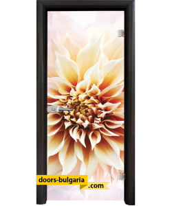 Стъклена интериорна врата, Print G 13-5, каса Венге