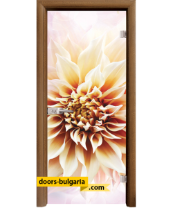 Стъклена интериорна врата, Print G 13-5, каса Златен Дъб