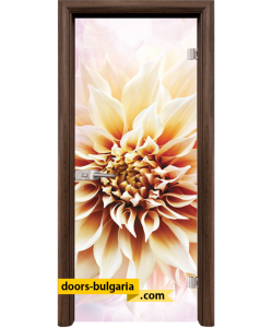 Стъклена интериорна врата, Print G 13-5, каса Орех