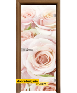 Стъклена интериорна врата, Print G 13-7, каса Златен Дъб