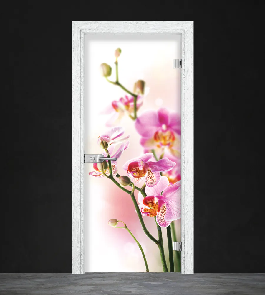 Gama Print G 13-2 Birch glass door