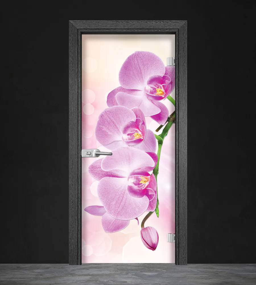 Стъклена врата Gama Print G 13-3 Pink Сив Кестен