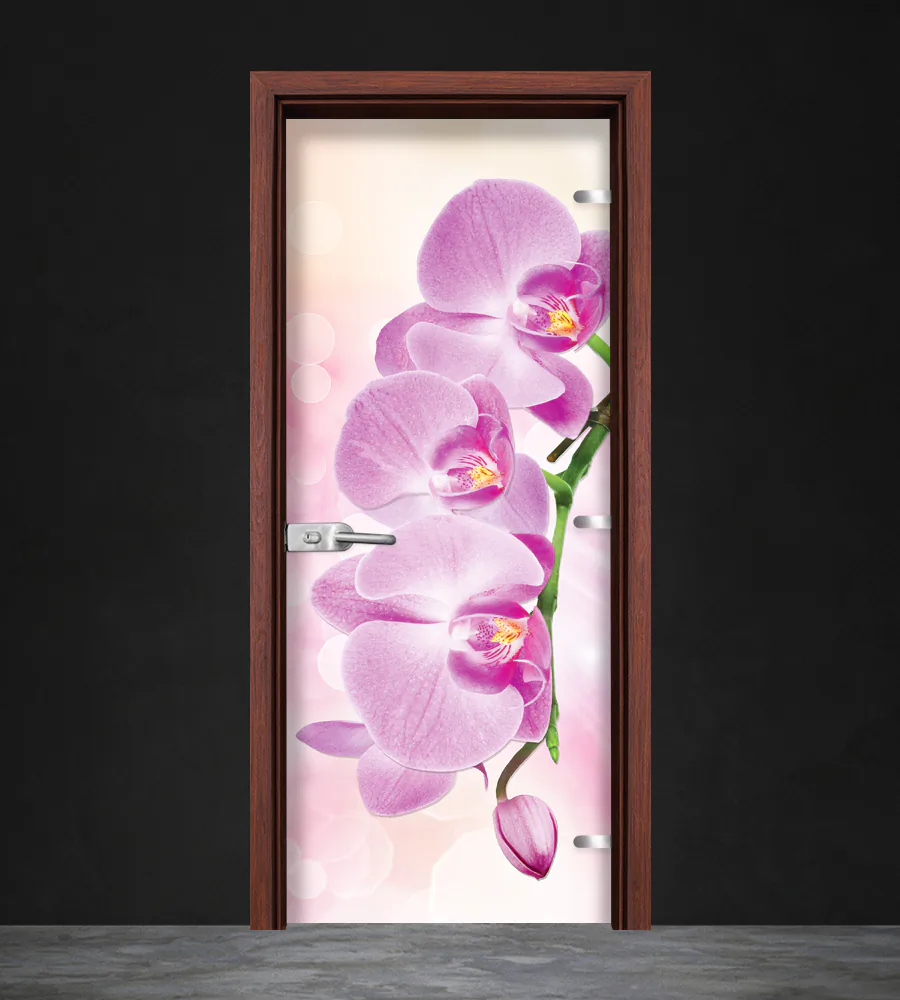 Стъклена врата Gradde Print G 13-3 Pink Шведски Дъб